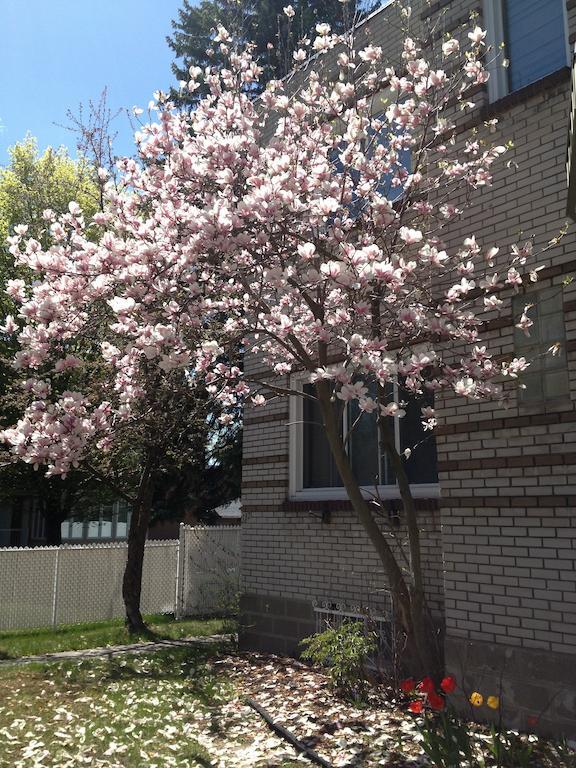 Magnolia B&B Granby Exterior foto